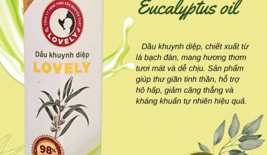 DẦU KHUYNH DIỆP – BÍ QUYẾT CHO LÀN DA KHỎE ĐẸP TỪ DƯỠNG CHẤT THIÊN NHIÊN