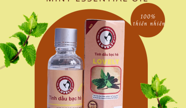 XOA DỊU NHANH CƠN ĐAU CƠ, KHỚP CHỈ VỚI TINH DẦU BẠC HÀ