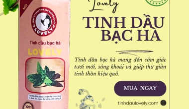 XUA ĐUỔI CÔN TRÙNG HIỆU QUẢ VỚI TINH DẦU BẠC HÀ