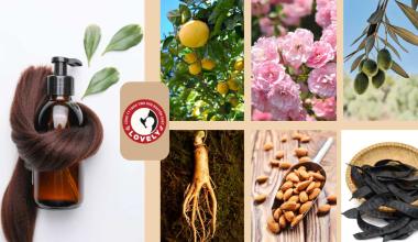 GIẢI PHÁP CHO TÓC GÃY RỤNG & NHẠY CẢM – DẦU GỘI THẢO DƯỢC LOVELY