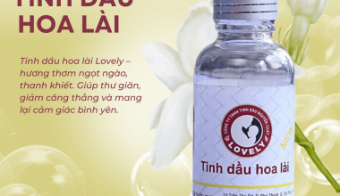 TINH DẦU HOA LÀI: BÍ MẬT TẠO NÊN KHÔNG GIAN LÃNG MẠN & NGỌT NGÀO