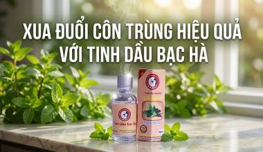 XUA ĐUỔI C&Ocirc;N TR&Ugrave;NG HIỆU QUẢ VỚI TINH DẦU BẠC H&Agrave;