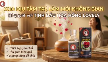 L&Agrave;M MỚI KH&Ocirc;NG GIAN, XOA DỊU T&Acirc;M TR&Iacute; C&Ugrave;NG TINH DẦU HOA HỒNG