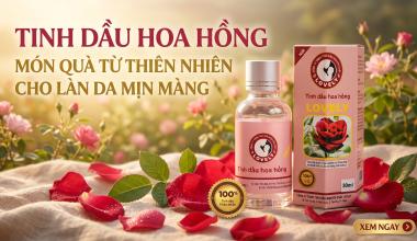TINH DẦU HOA HỒNG: M&Oacute;N QU&Agrave; TỪ THI&Ecirc;N NHI&Ecirc;N CHO L&Agrave;N DA MỊN M&Agrave;NG